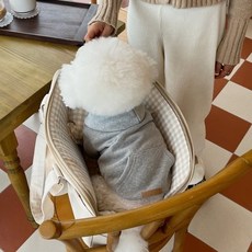 강아지 후드티 강아지 가을겨울옷, 1개, 그레이