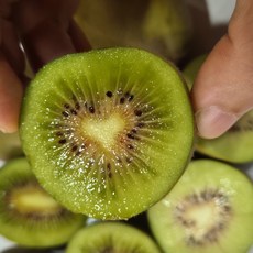 제주 레드키위 오케이팜 프리미엄 키위 당도보장 22 브릭스 이상, 1개, 제주산 레드키위 중과 2.5KG (50~70g내외)