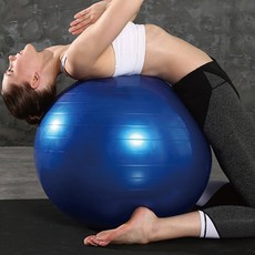 디에스스포츠 요가 필라테스 스트레칭 짐볼 65cm, 블루