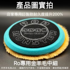 泡泡怪獸 RO專用金羊毛拋光盤 - 背板強化 訂製款 耐用 適用RO機, 1個