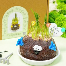 보리싹 식물 씨앗키우기 토피어리 꾸미기키트 홈스쿨링 관찰키트 돌봄교실 DIY, 토피어리 만들기