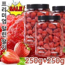 프리미엄 말린 딸기 250g+250g 건조딸기, 250g, 2개