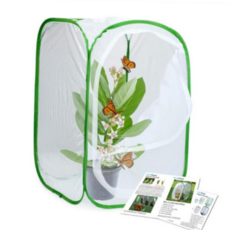 키우기 채집 케이지 곤충 폴딩 사육 꿀벌 나비 59000EA 1EA