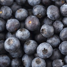 칠레산 생 블루베리 생과, 6개, 125g