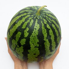 당도선별 수박 하우스, 1개, 4kg~5kg