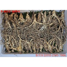 동의보감 장뇌삼 7~8년근 30뿌리/8만원 삼 산양삼 자연산 새싹삼 일반포장, 10g, 30개