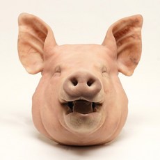 문사병 웃는 고사머리 5~7kg, 웃는 고사머리5~7kg, 1개