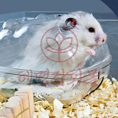 투명 햄스터 집 혜명마트, 소, 1