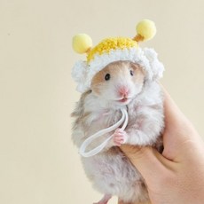 소동물 미니 패션 모자 햄스터 니트 캡 끈조임 촬영 액세서리, 돼지, 1