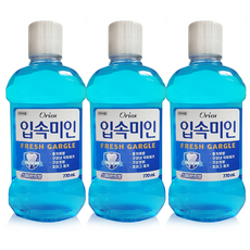 오릭스 (Oriox) 입속미인 후레쉬 토탈 케어 구강 청결제 770ml 대용량 자일리톨 함유 가글액, 3개