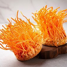 국내산 현미 성재모 동충하초 생초 4개, 80g, 현미 동충하초