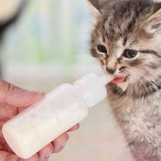 이헌 반려동물용 젖병 세트 60ml 고양이용품