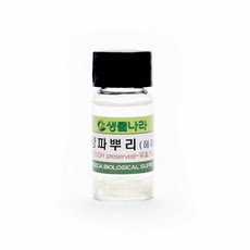 양파뿌리 해리 (30~35개)/생물 과학 실험 재료