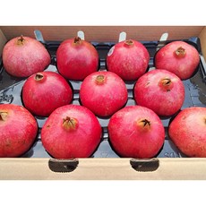 (과일천국1번지) 생 석류 생과 대과5kg, 1박스, 5kg