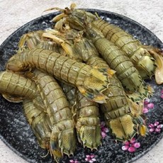 국내산 냉동 갯가재 1.5kg, 1박스, 1500g