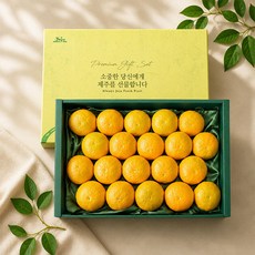 이제주 과즙가득 황금향 선물세트 4.5kg 26과 내외 보자기포장, 1세트