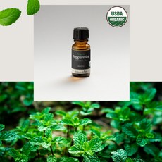 USDA인증 천연 오가닉 에센셜오일 7종, 페퍼민트 에센셜 오일 1개, 1개