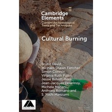 (영문도서) Cultural Burning Paperback, Cambridge University Press, English, 9781009485296