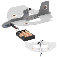 비행원리 생물과학 투구게 전동 비행기세트 방과후수업 글라이더