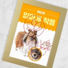 A6 간편교체 자석프레임 광고 알림판 5p세트 골드 혜명마트