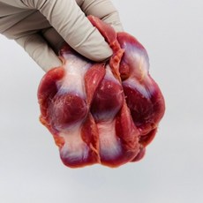 닭근위 닭똥집 닭모래집 1kg 국내산, 1개