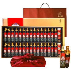 정관장 6년근 홍삼정 활기력 31세트 (홍삼농축액+비타민) 630ml+쇼핑백 새해 설 명절 부모님 선물 보자기 포장 1세트, 1세트, 31정