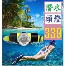 【三峽貓爸的店】潛水專用頭戴燈 LED專業 潛水頭燈 可充電頭燈高亮10W百米深度防水 防水頭燈 潛水頭燈