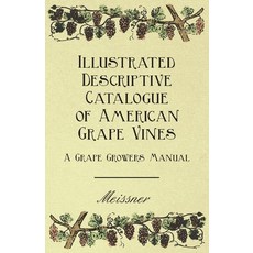 (영문도서) Illustrated Descriptive Catalogue of American Grape Vines - A Grape Growers Manual Paperback, Averill Press, English, 9781444653748