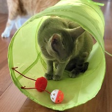 네이처펫 고양이 터널 그린, 본품