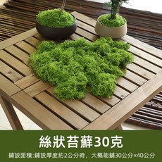 優選樂購 仿生人造假青苔 仿真苔蘚草皮 微景觀佈置擺件 草坪盆景盆栽鋪面造景, 1個, 絲狀苔蘚淺綠色30g