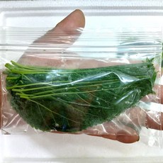 삶은뽕잎 20장 + 2장 냉동뽕잎 안시먹이 새우먹이, 20g, 1세트