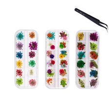 YFFSFDC 네일 푸시 꽃 드라이 플라워 네일 아트 레진 용 레이스 3D 네일 레진 3 케이스 세트