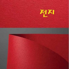 두성 116g 디자이너스지 전지 낱장판매, N50