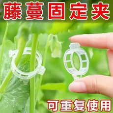 植物瓜果藤蔓固定夾 可重複使用, 秧苗不倒地, 10個