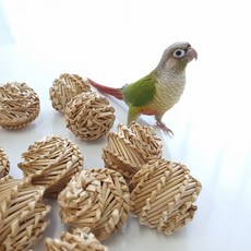 데구르르 대나무 공 1p