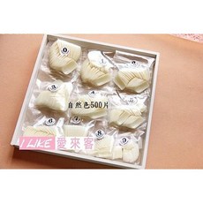 人工甲片 指甲貼片 美甲DIY 快速美甲 多尺寸選擇, 500個, 自然色