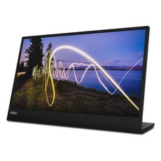Lenovo ThinkVision M15 15.6인치 풀 HD WLED LCD 모니터 - 16:9 레이븐 블랙