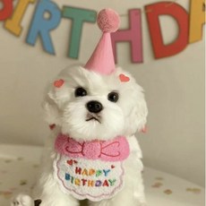 강아지 생일 케이프 고양이케이프 생일파티 모자 세트, 1세트, 핑크