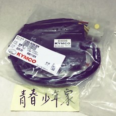 KYMCO 光陽 原廠 雷霆S ACH6 31600 整流器 電子穩壓器