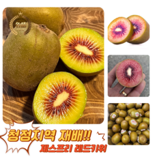 [굿피플] 레드키위 제스프리레드키위 kiwi 래드키위 과일키위, 제스프리 루비 레드키위 83g 5과, 1박스