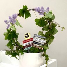 위플레이스 원형 식물지지대, PARABU-3000-동그라미 원형 넝쿨 화분 식물지지대, 1개