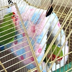 애완조류 새장 둥지 하트모양 앵무새 잉꼬 번식집 산란장 조류용품 새집 휴식공간, 1개, 상세페이지 참조