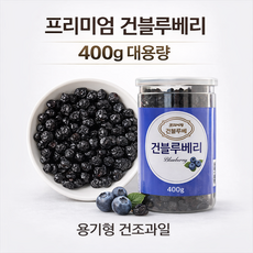 프리미엄 건블루베리 400g 대용량 용기형 건조과일 건강간식 HACCP, 1개