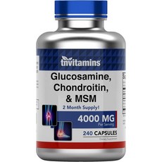 tnvitamins 글루코사민 콘드로이친 MSM 240캡슐, 1개, 240정
