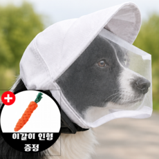 Jinsim Ansim 강아지 모자 페이스커버 산책망 진드기 해충 취식방지 얼굴망 햇빛차단 조절가능, 1개, 화이트