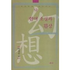 現代小說與幻想, 朴正洙 著, Saemi