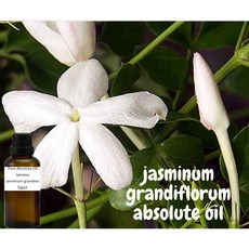 大花茉莉原精 Jasmine Pure Absolute Oil Jasminum Grandiflorum Absolute Oil, 1個