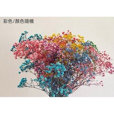 進口大朵滿天星乾燥花材 專業水染永生花 網拍攝影道具 開店必備 彩色隨機 100克大把, 彩色(顏色隨機）,100克/大把（批發價）