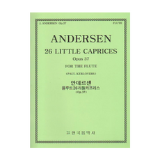 안데르센 플루트 26 리틀 카프리스 Op 37 한국음악사