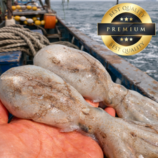 [70박스한정특가] 탱글탱글 쭈꾸미 암수랜덤 급냉, 1박스, 1kg